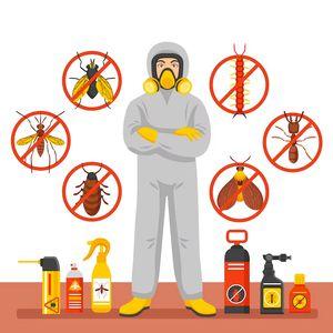 مكافحة حشرات بالرياض رش مبيدات