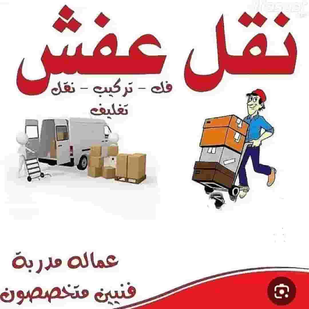 Moving furniture in Medina