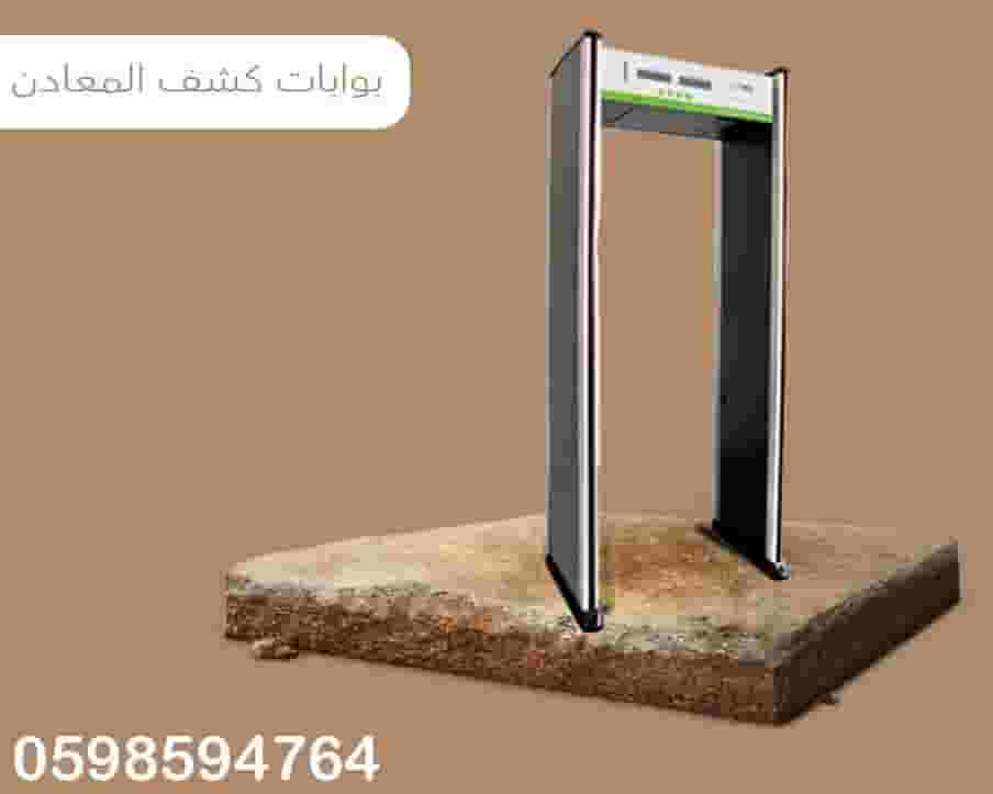 metal detector gate