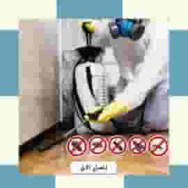 Pest Control in Taif Pesticide Spraying Company 