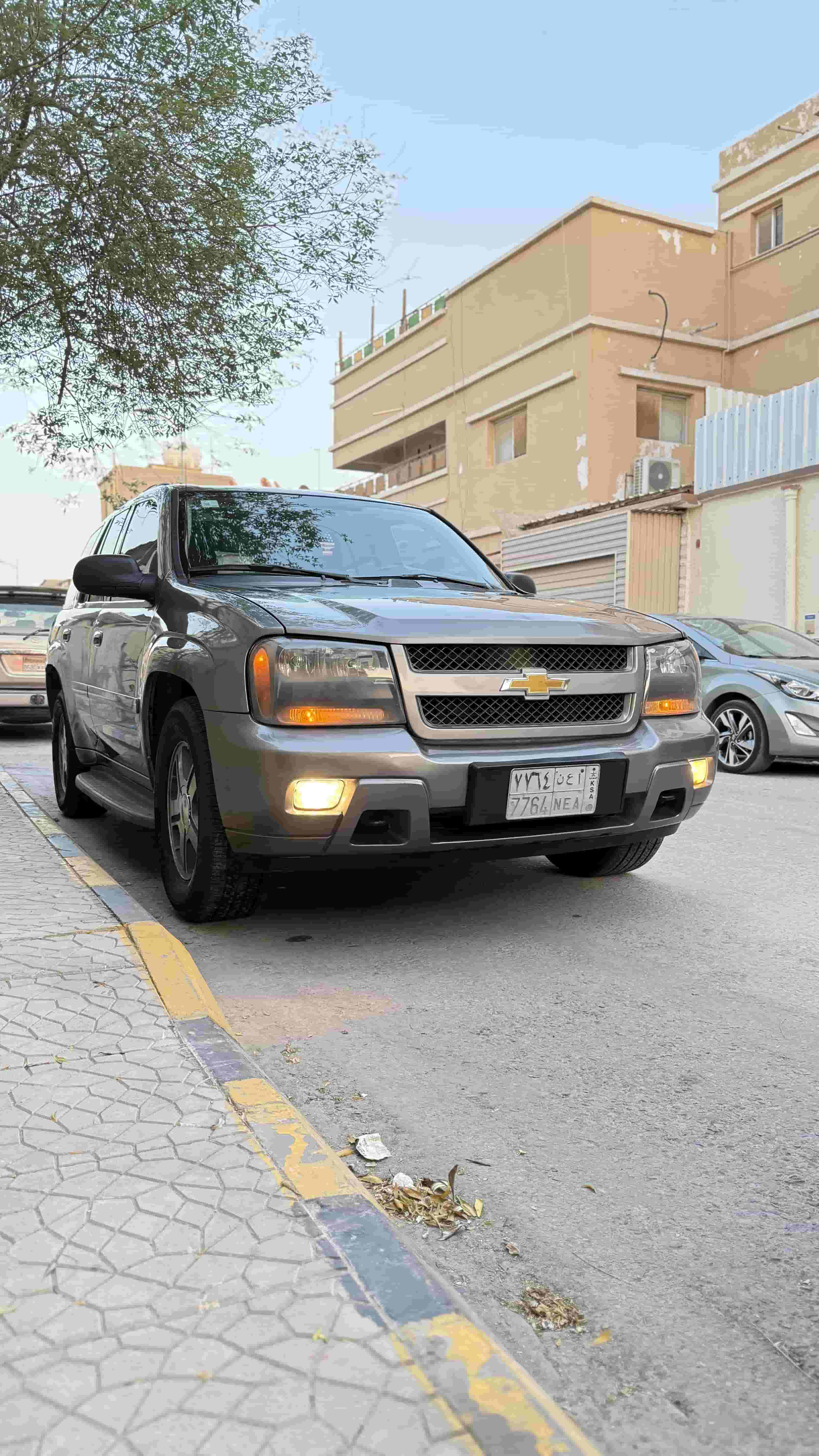 Trailblazer 2009