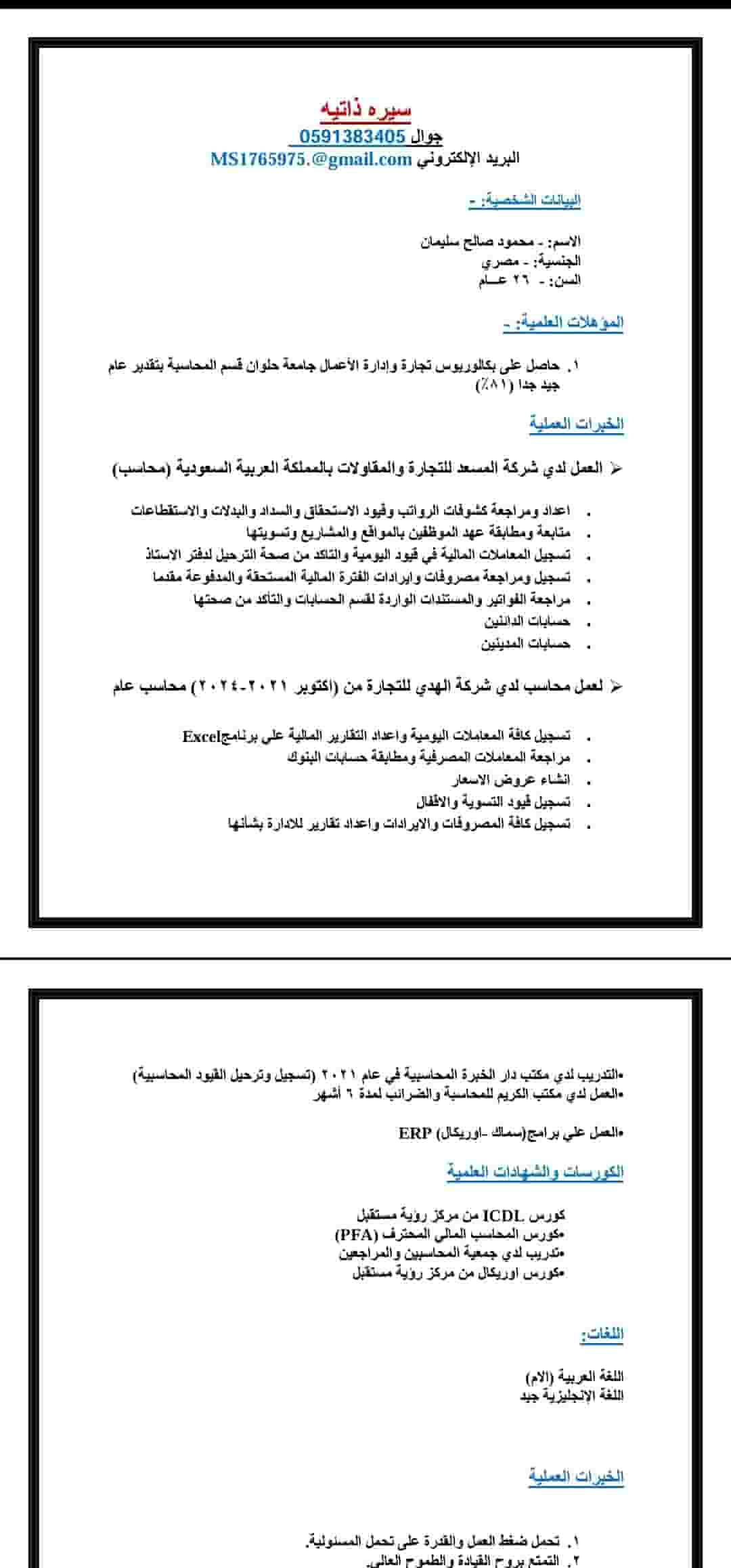 Egyptian accountant looking for a job