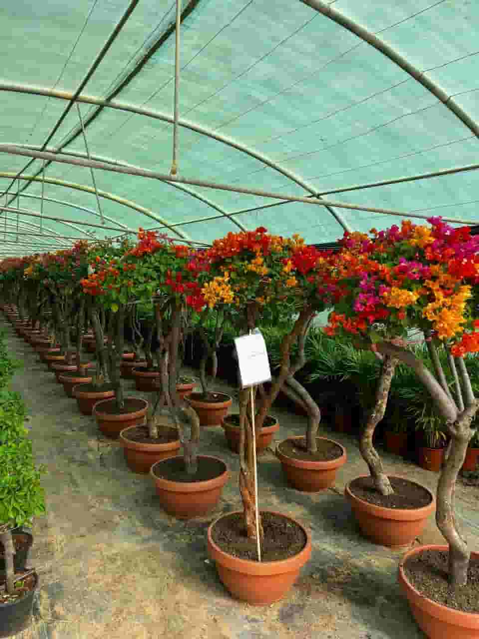 I'm looking for a job