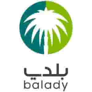 Issuance of municipal licenses (instant/non-immediate)