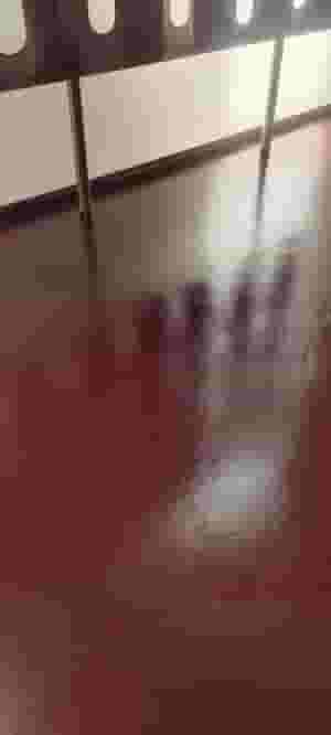 Available for any brand and any type required