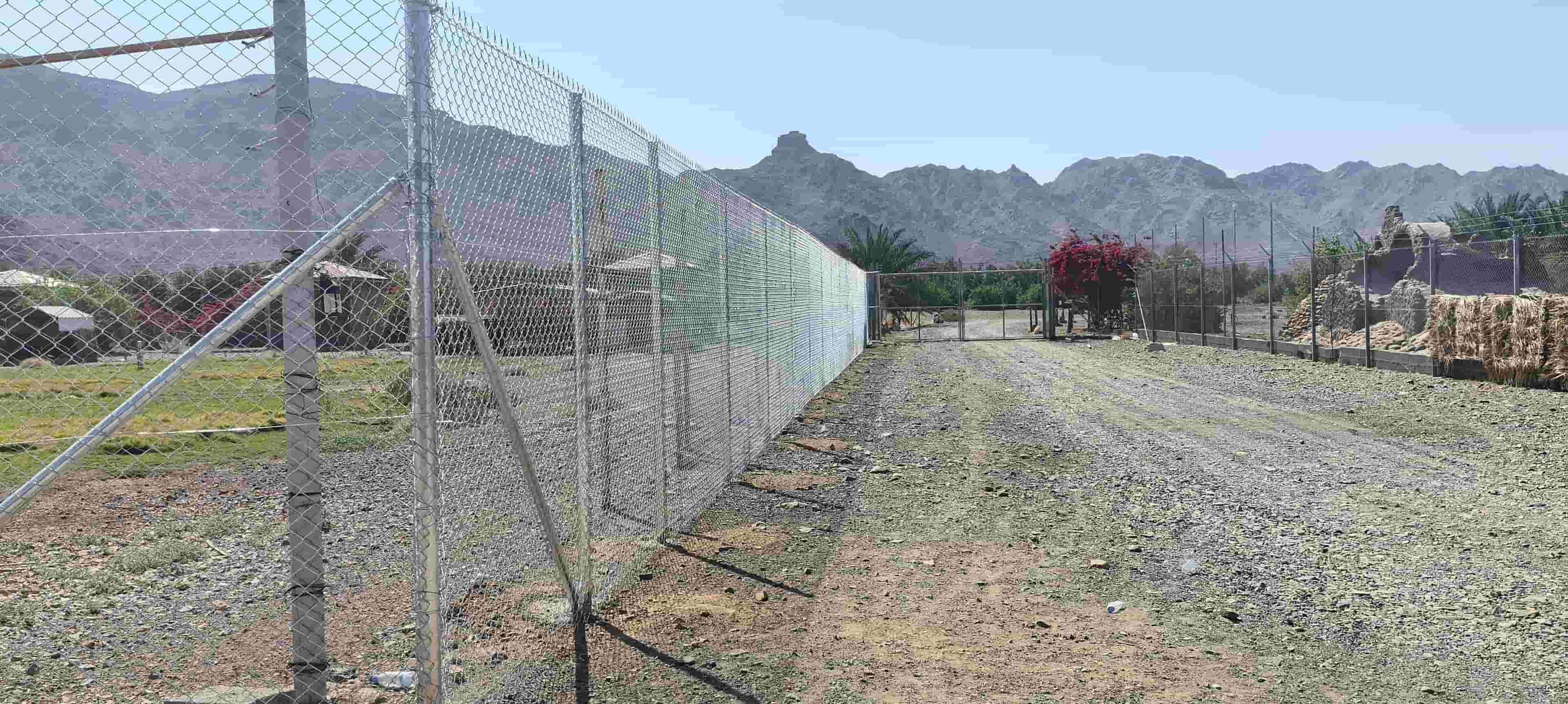 شبوك سياجية