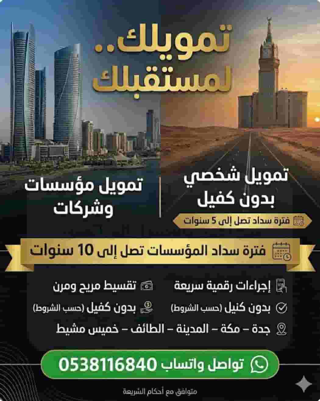 Financing institutions and companies