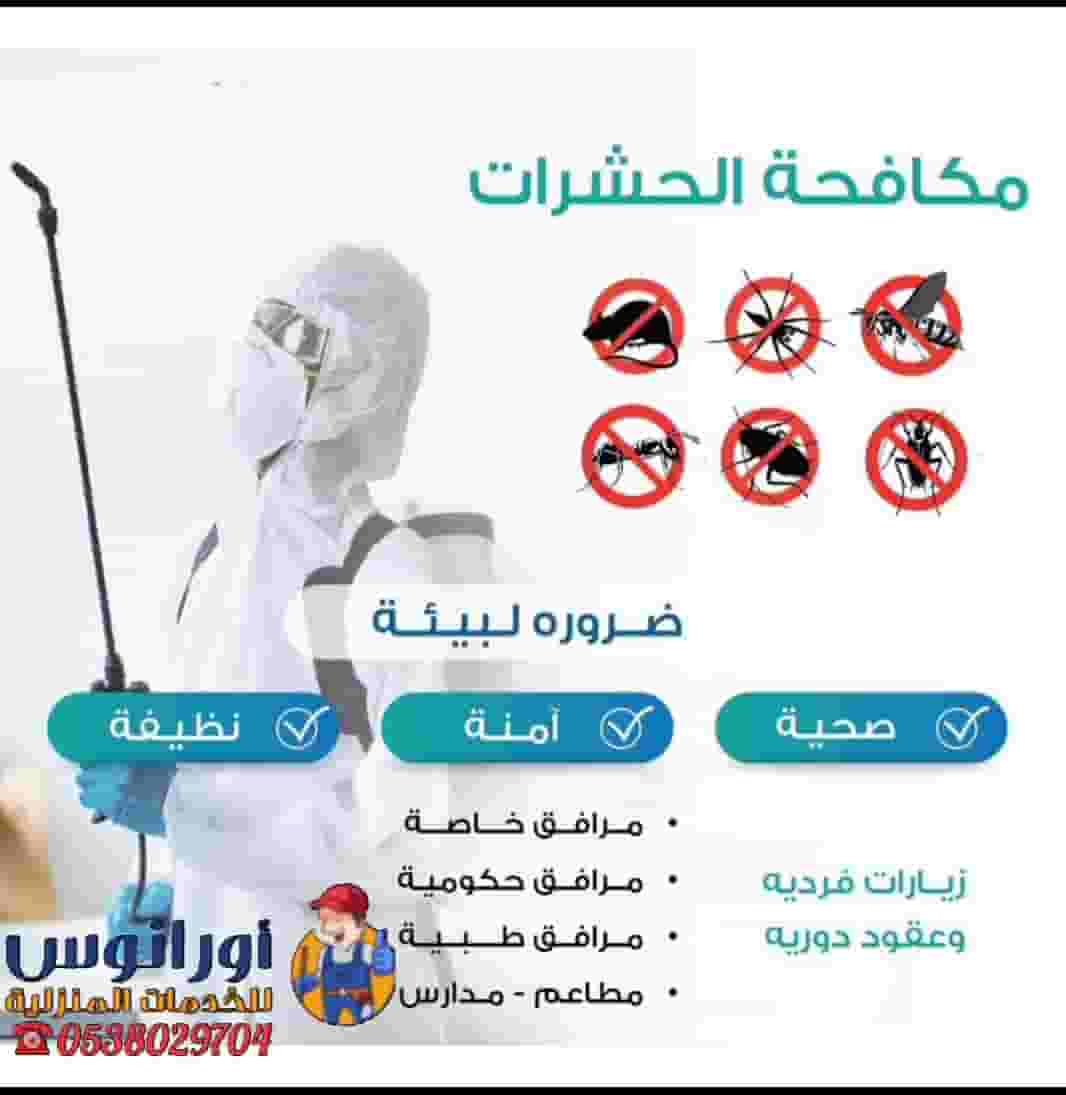 شركة مكافحة حشرات بالخرج