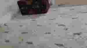 We buy used furniture in Riyadh