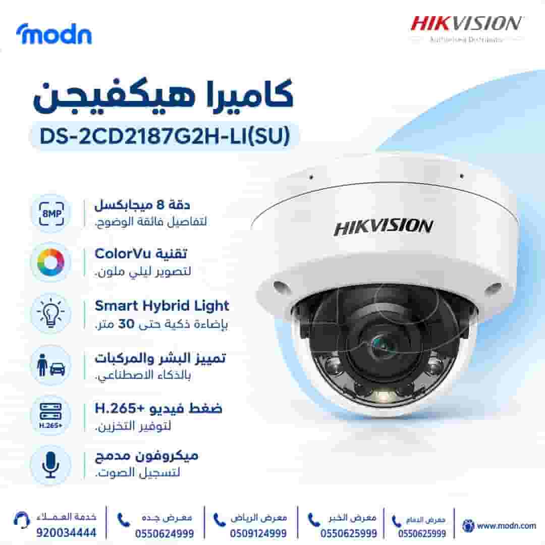 Kamira Hickfeijn Hikvision DS-2CD2187G2H-LI (SU)