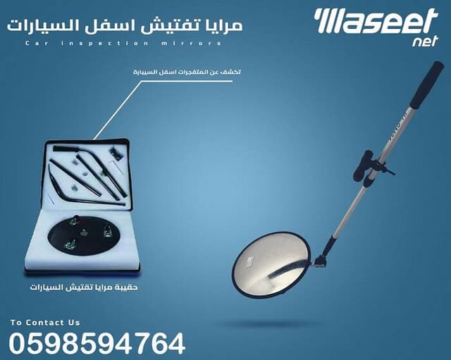 Mirror device and detection camera 