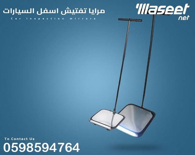 Mirror device and detection camera 