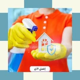Pest Control in Taif Pesticide Spraying Company 