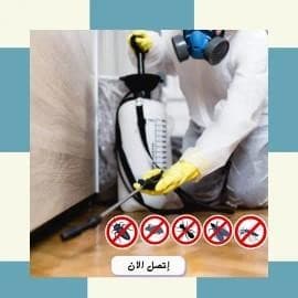 Pest Control in Taif Pesticide Spraying Company  0