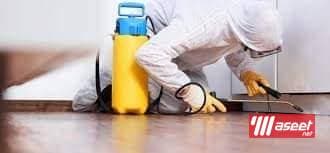 Pest Control in Taif Pesticide Spraying Company 