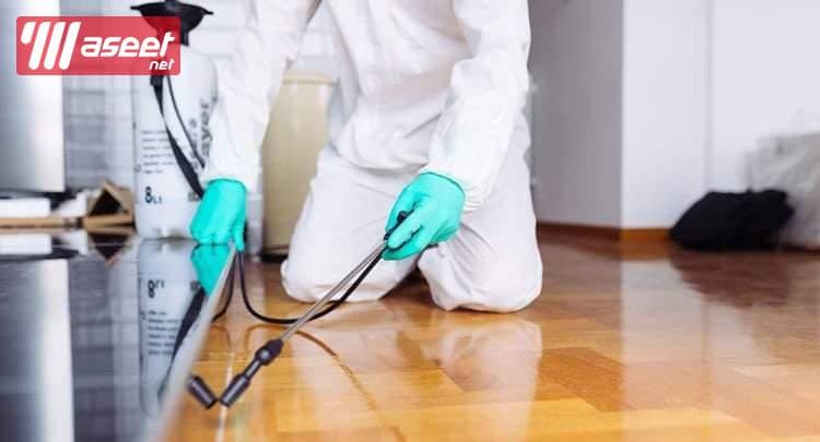 Pest Control in Taif Pesticide Spraying Company  4