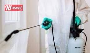 Pest Control in Taif Pesticide Spraying Company  5