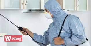 Pest Control in Taif Pesticide Spraying Company  6