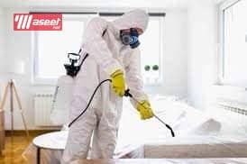 Pest Control in Taif Pesticide Spraying Company 