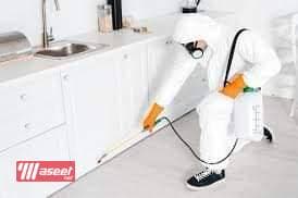 Pest Control in Taif Pesticide Spraying Company 