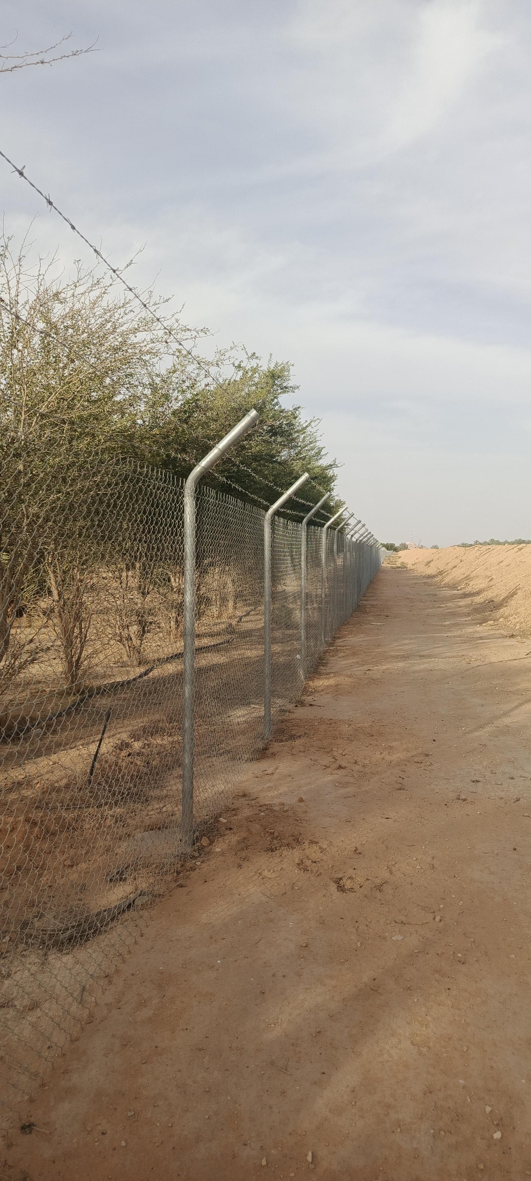 نقوم بتوريد وتركيب شبوك مزارع  0