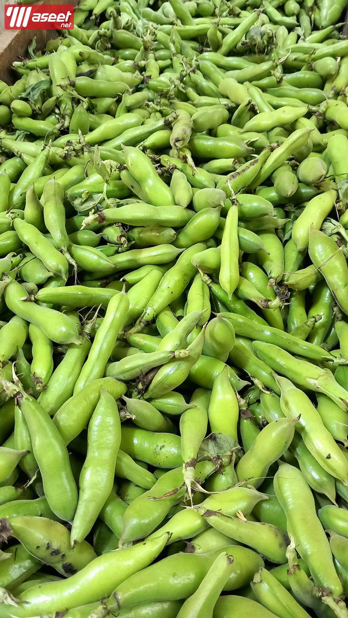 Supplier of fresh fruits and vegetables in Jeddah with the best quality and the best price 6