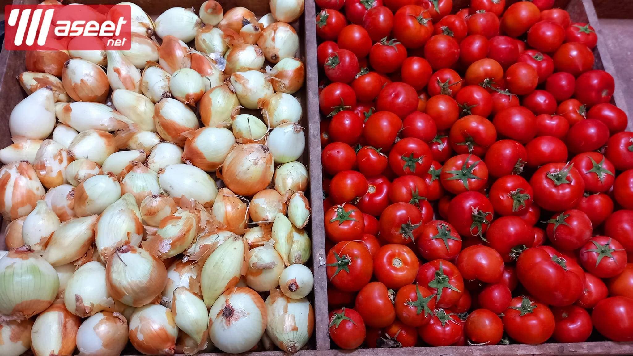 Supplier of fresh fruits and vegetables in Jeddah with the best quality and the best price 1