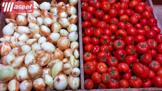 Supplier of fresh fruits and vegetables in Jeddah with the best quality and the best price