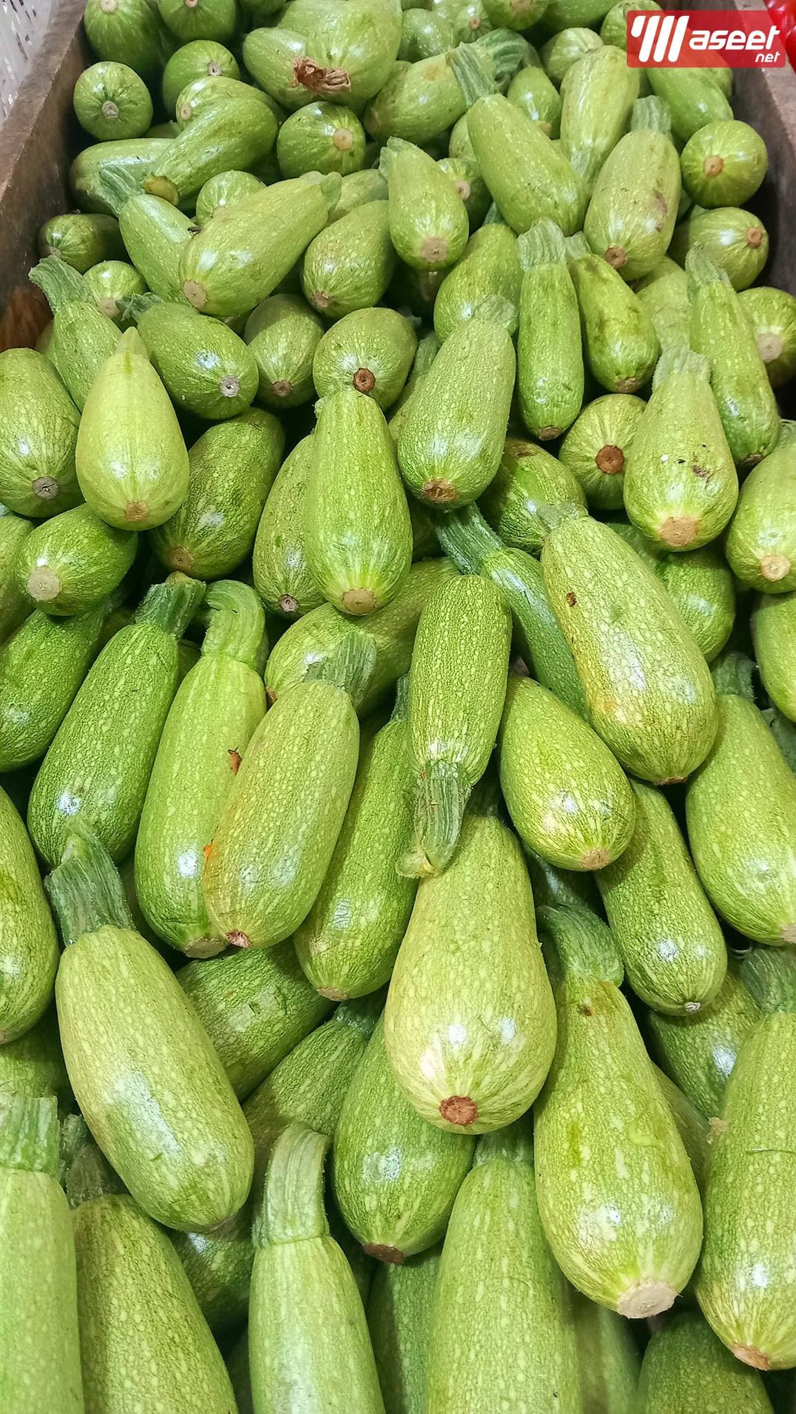 Supplier of fresh fruits and vegetables in Jeddah with the best quality and the best price 8