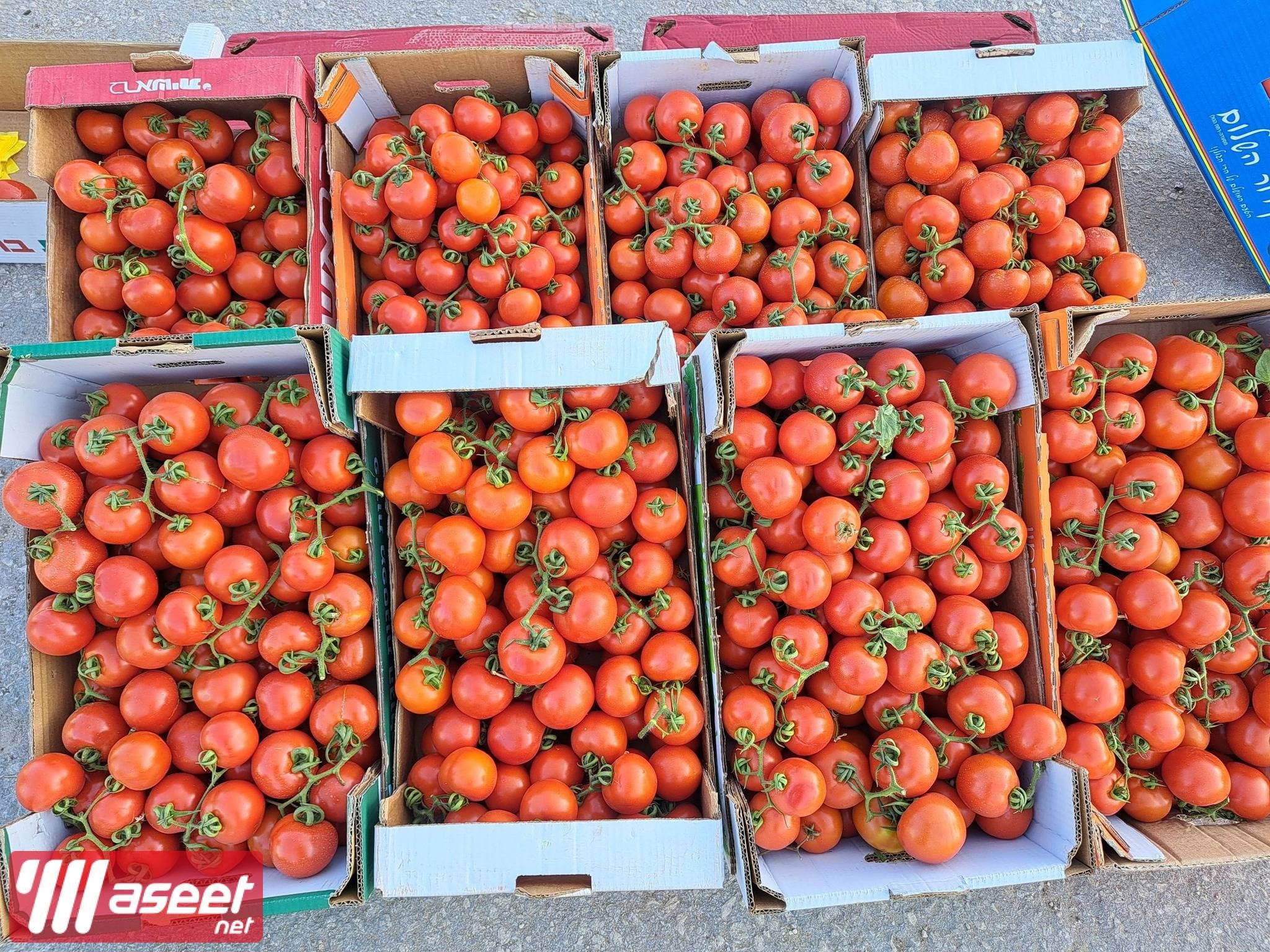 Supplier of fresh fruits and vegetables in Jeddah with the best quality and the best price 9