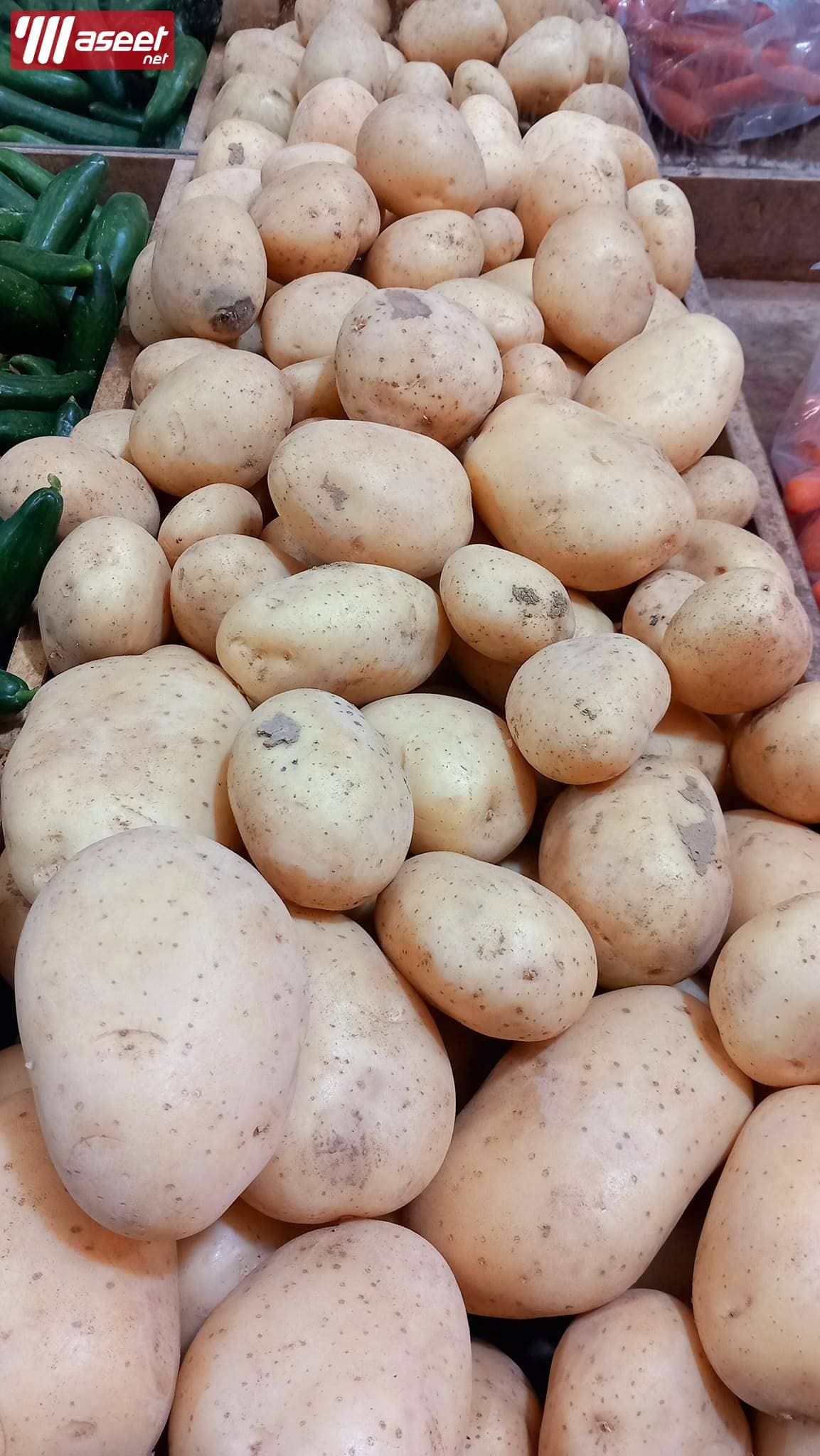 Supplier of fresh fruits and vegetables in Jeddah with the best quality and the best price 7