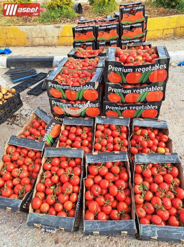 Supplier of fresh fruits and vegetables in Jeddah with the best quality and the best price