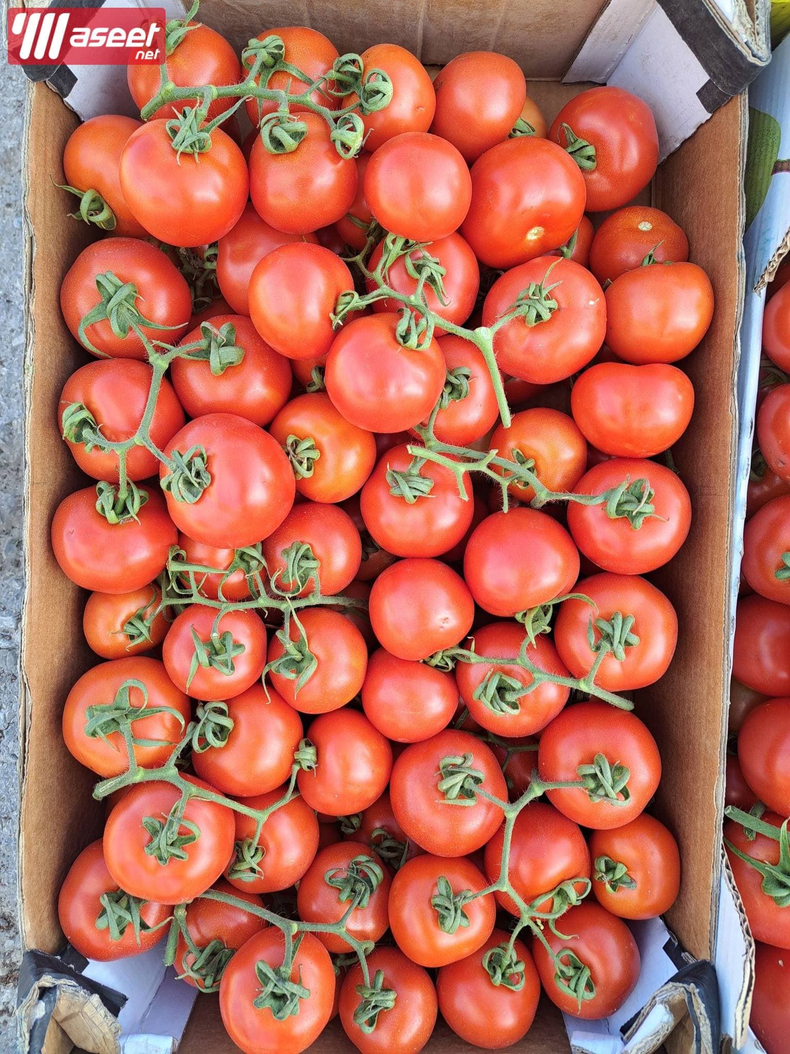 Supplier of fresh fruits and vegetables in Jeddah with the best quality and the best price 10
