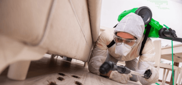 Pest control at the lowest prices