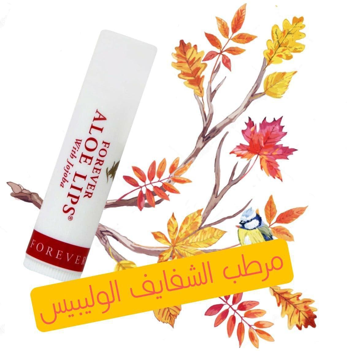 lip balm 3