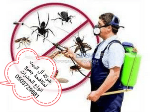 Al Al Bait International Company to combat all kinds of insects