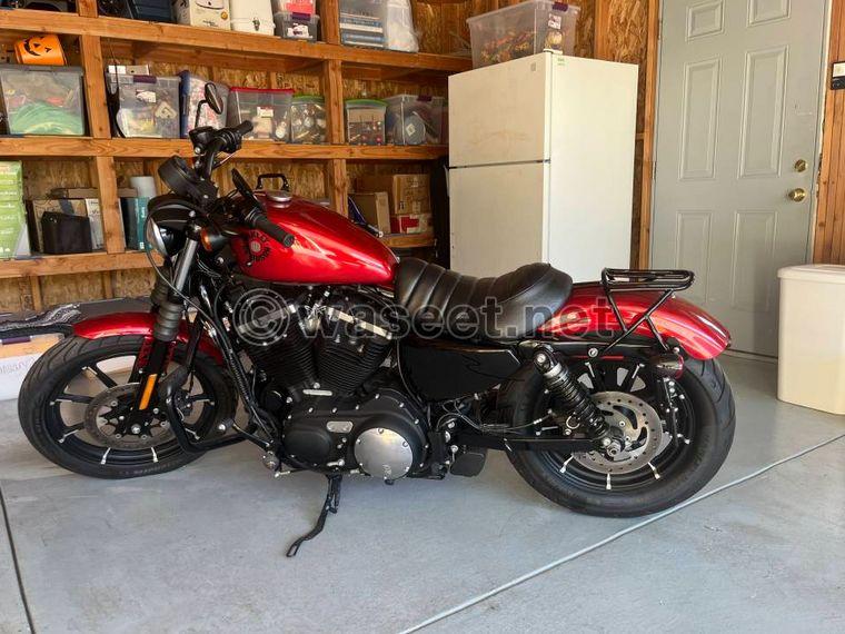 2019 Harley Davidson SPORTSTER 883 IRON  0