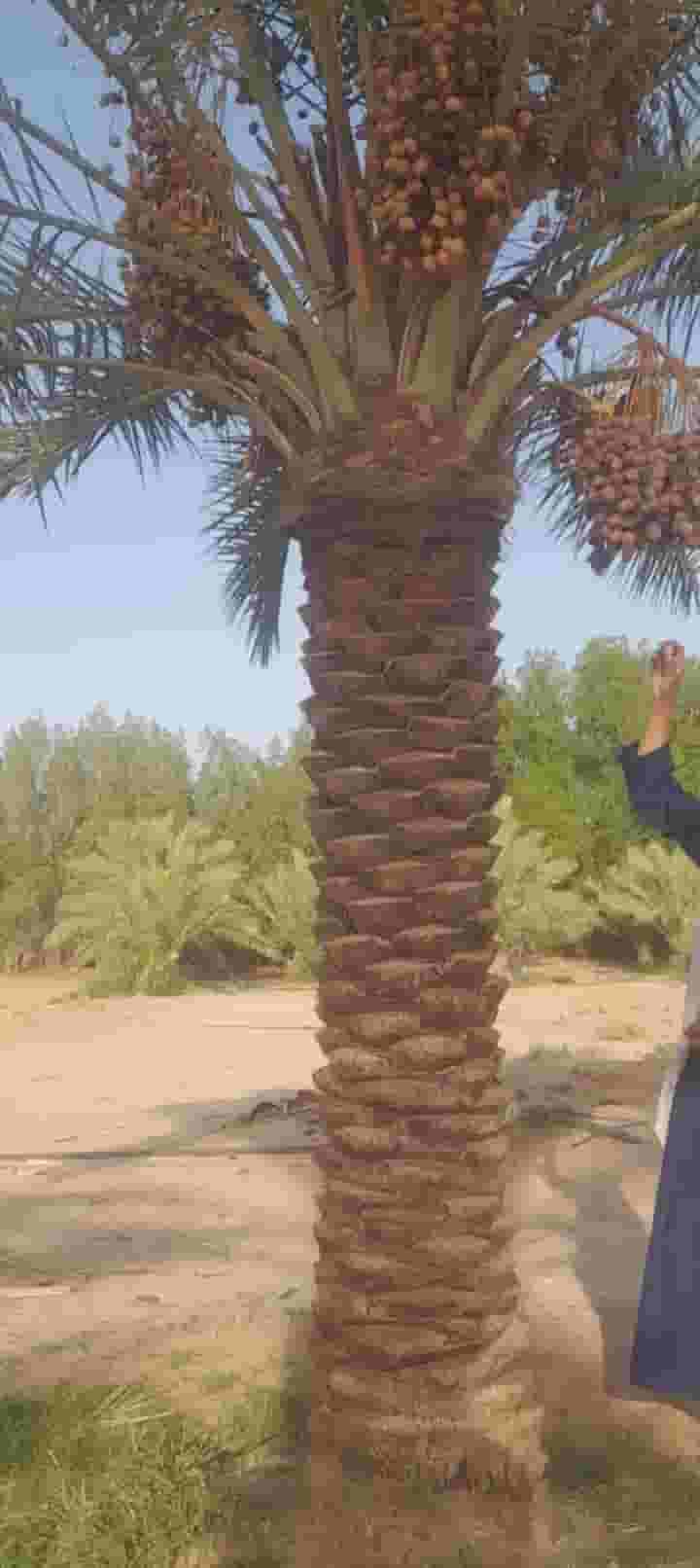 ابحث عن عمل ابحث عن عمل