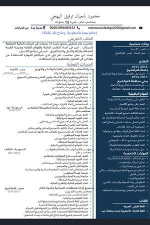 محاسب مصري ابحث عن وظيفة محاسب عام